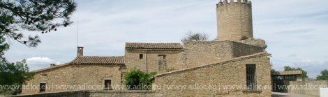 I047 ~ Antiguo castillo románico